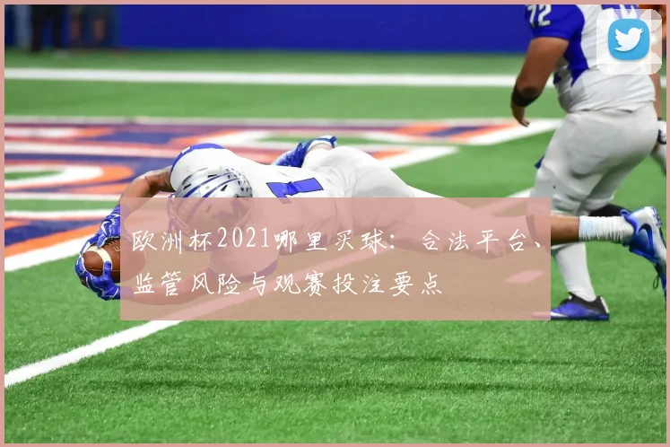 欧洲杯2021哪里买球：合法平台、监管风险与观赛投注要点