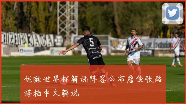 优酷世界杯解说阵容公布詹俊张路搭档中文解说