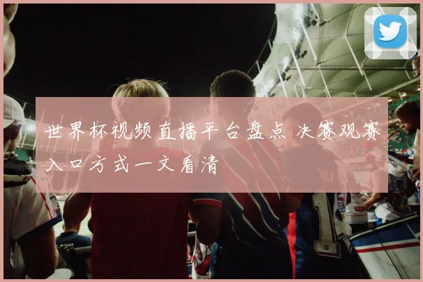 世界杯视频直播平台盘点 决赛观赛入口方式一文看清
