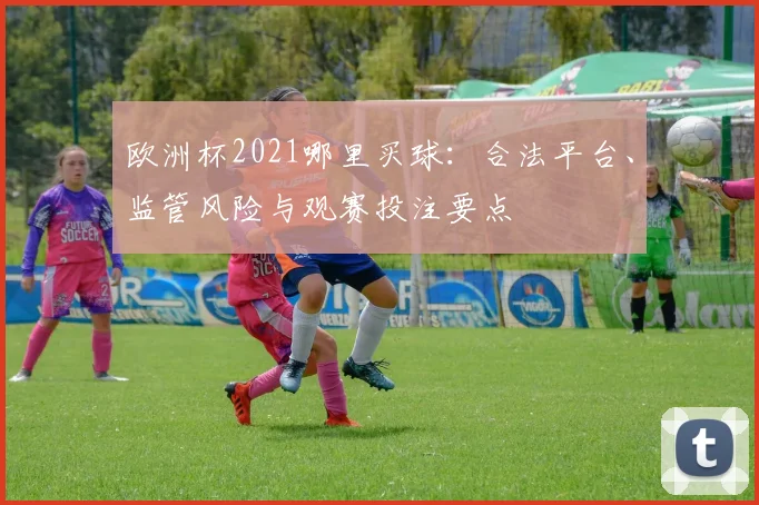 欧洲杯2021哪里买球：合法平台、监管风险与观赛投注要点