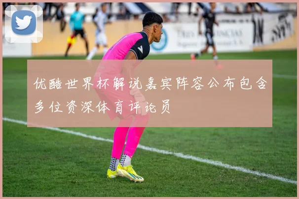 优酷世界杯解说嘉宾阵容公布包含多位资深体育评论员