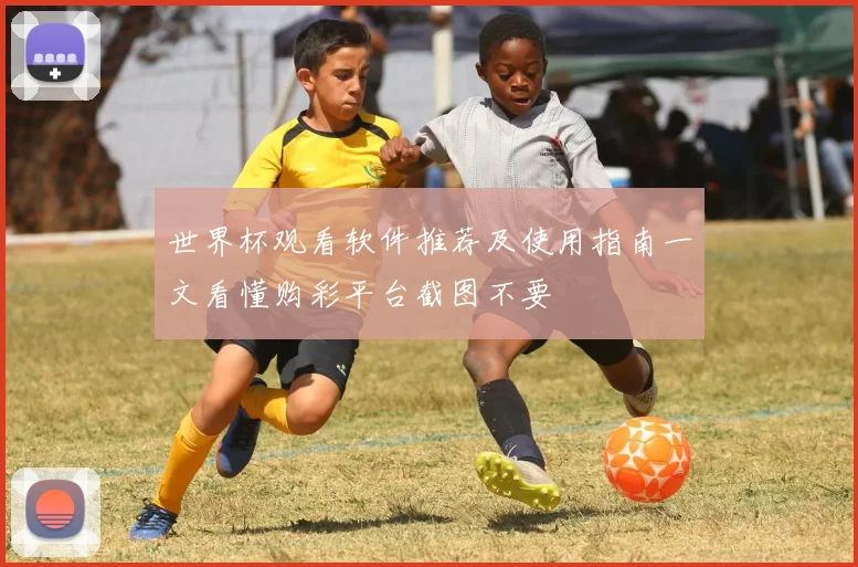 世界杯观看软件推荐及使用指南一文看懂购彩平台截图不要